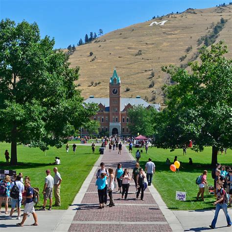 financial aid university of montana